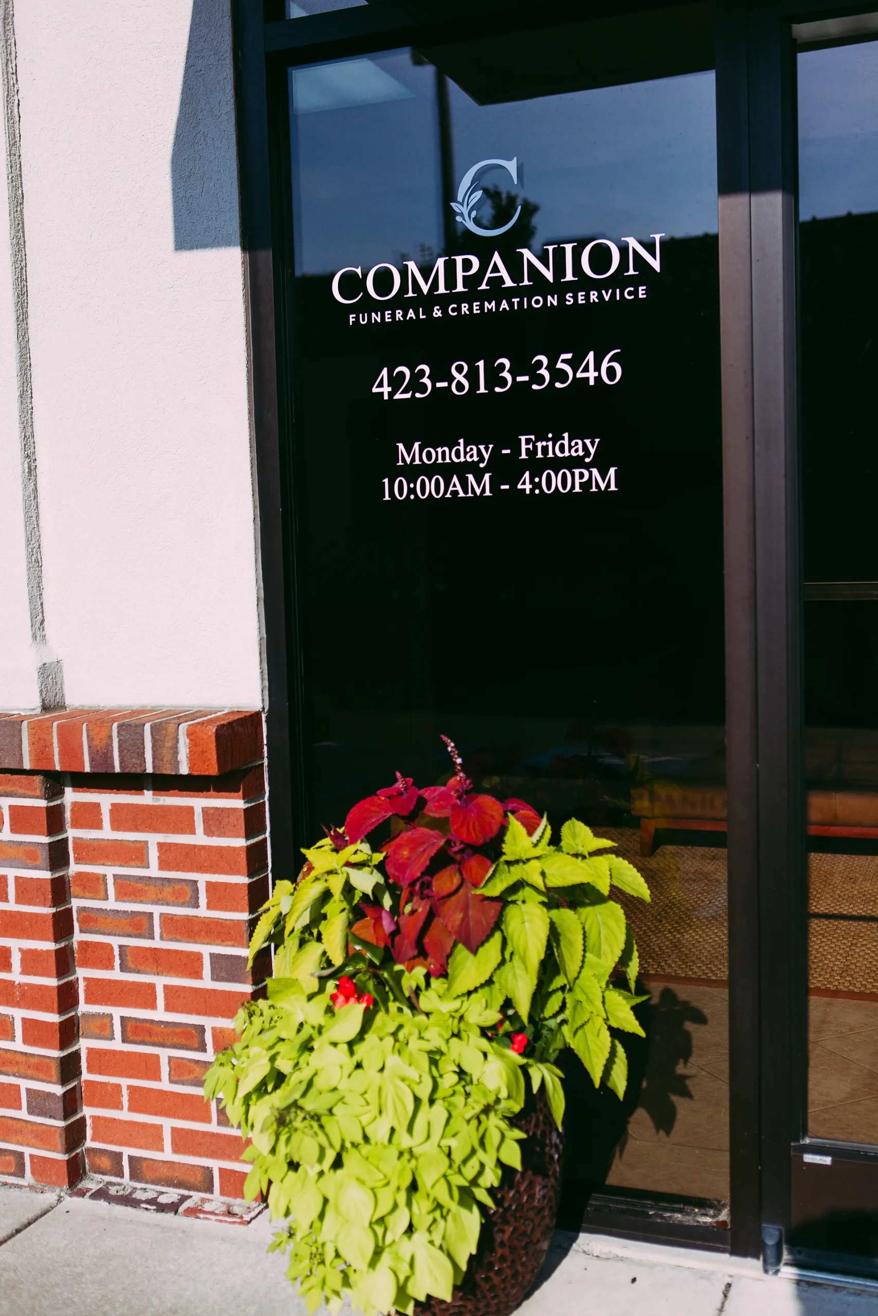 Companion Chattanooga